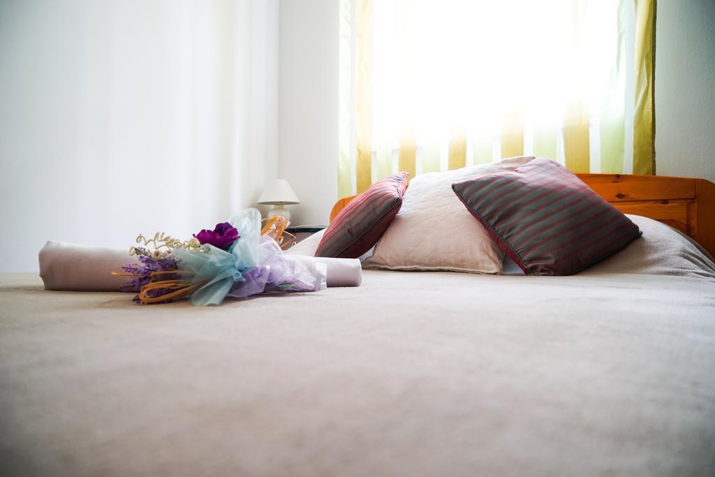 Floral Apartment زادار المظهر الخارجي الصورة