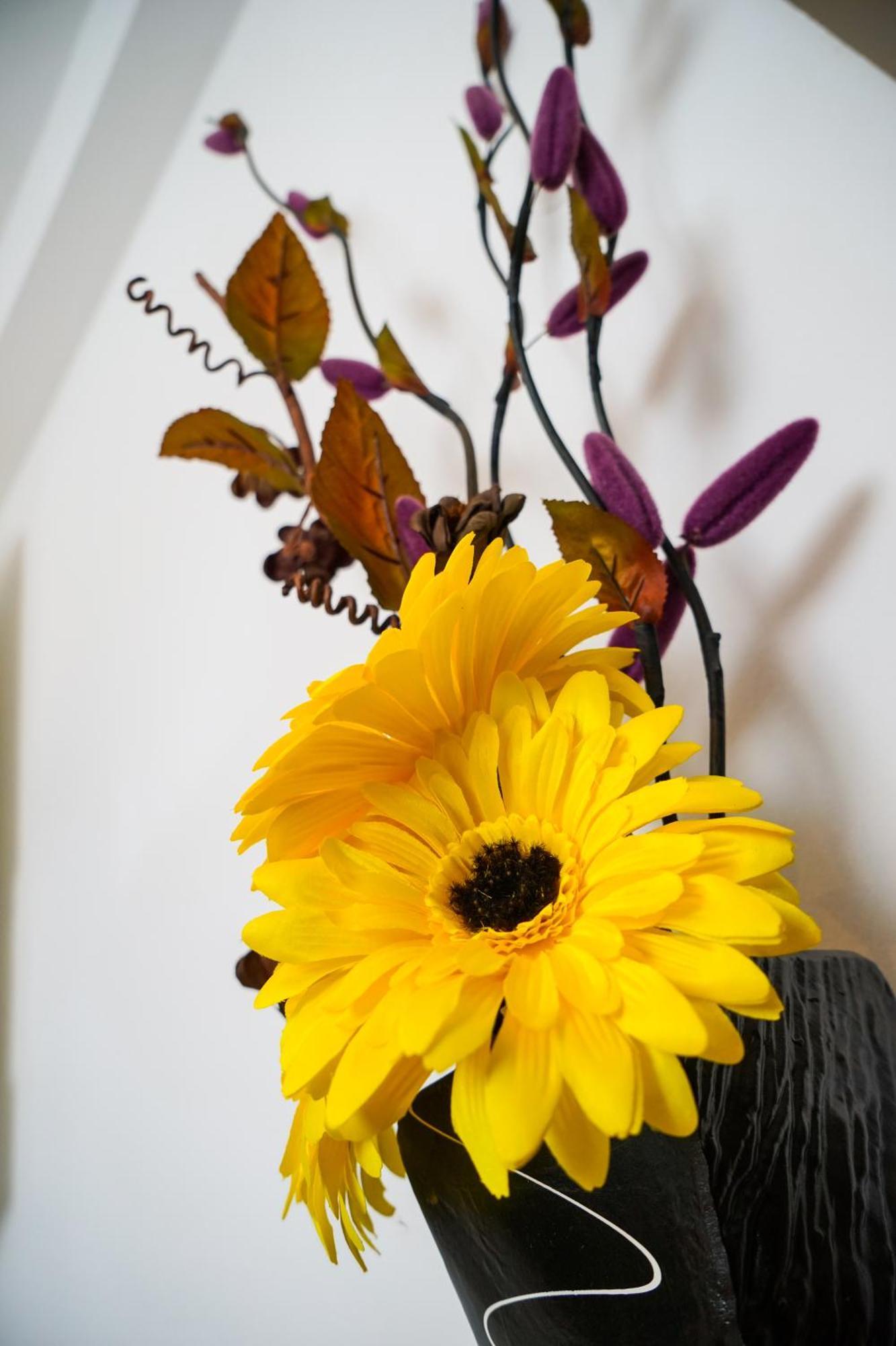 Floral Apartment زادار المظهر الخارجي الصورة
